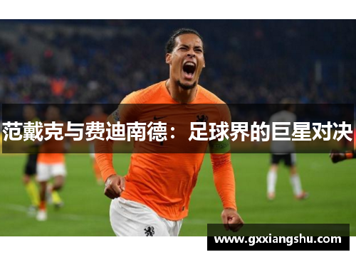 范戴克与费迪南德：足球界的巨星对决
